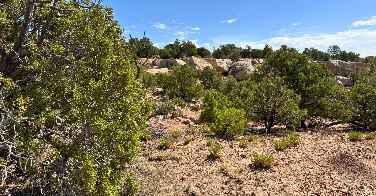 View of undeveloped land