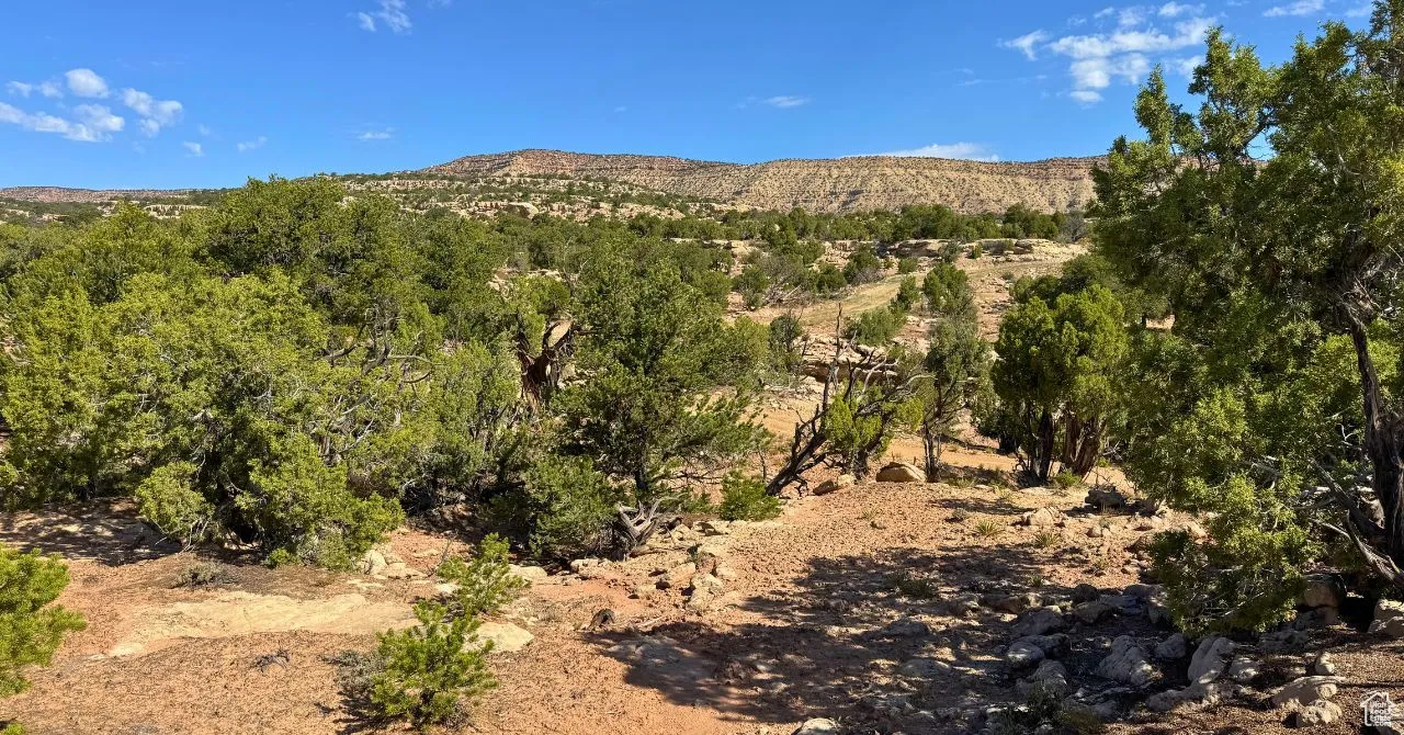 View of mountain background