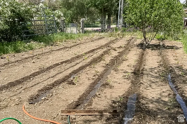 View of the vegetable garden