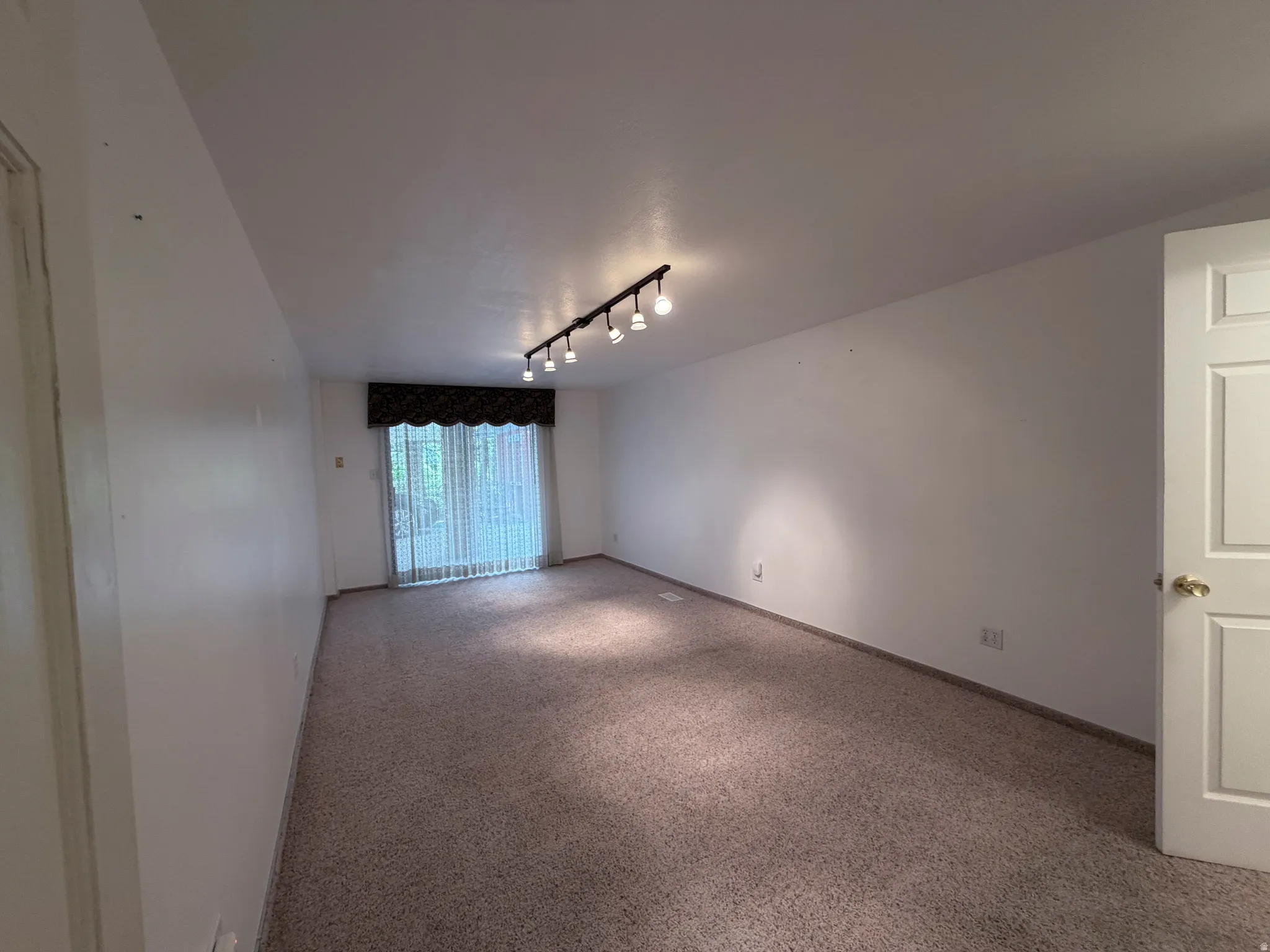 Empty room featuring track lighting and carpet