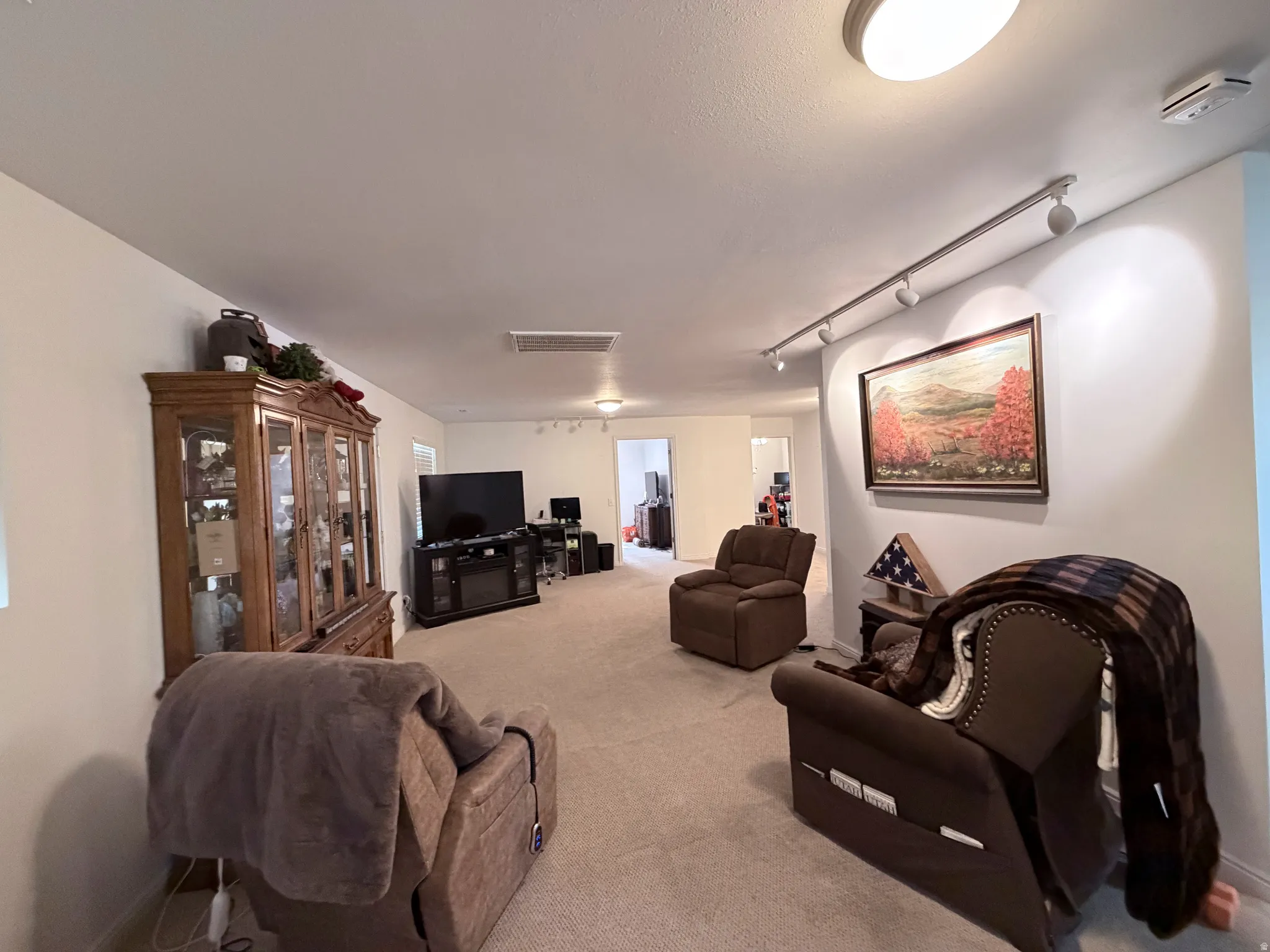 Living room featuring rail lighting and light colored carpet