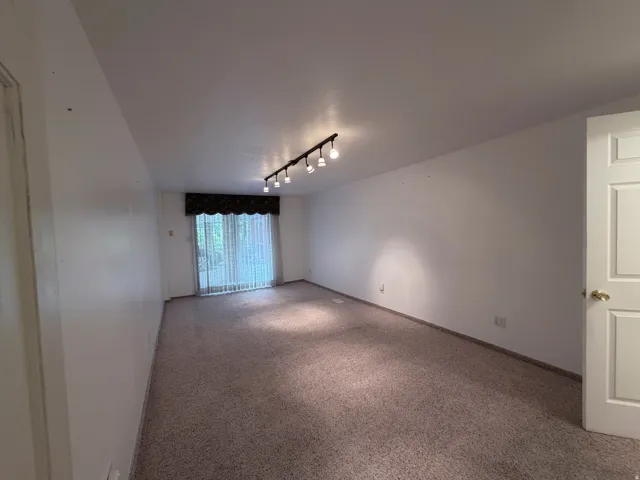 Empty room featuring track lighting and carpet