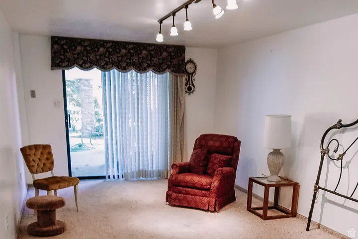 Sitting room featuring track lighting and carpet