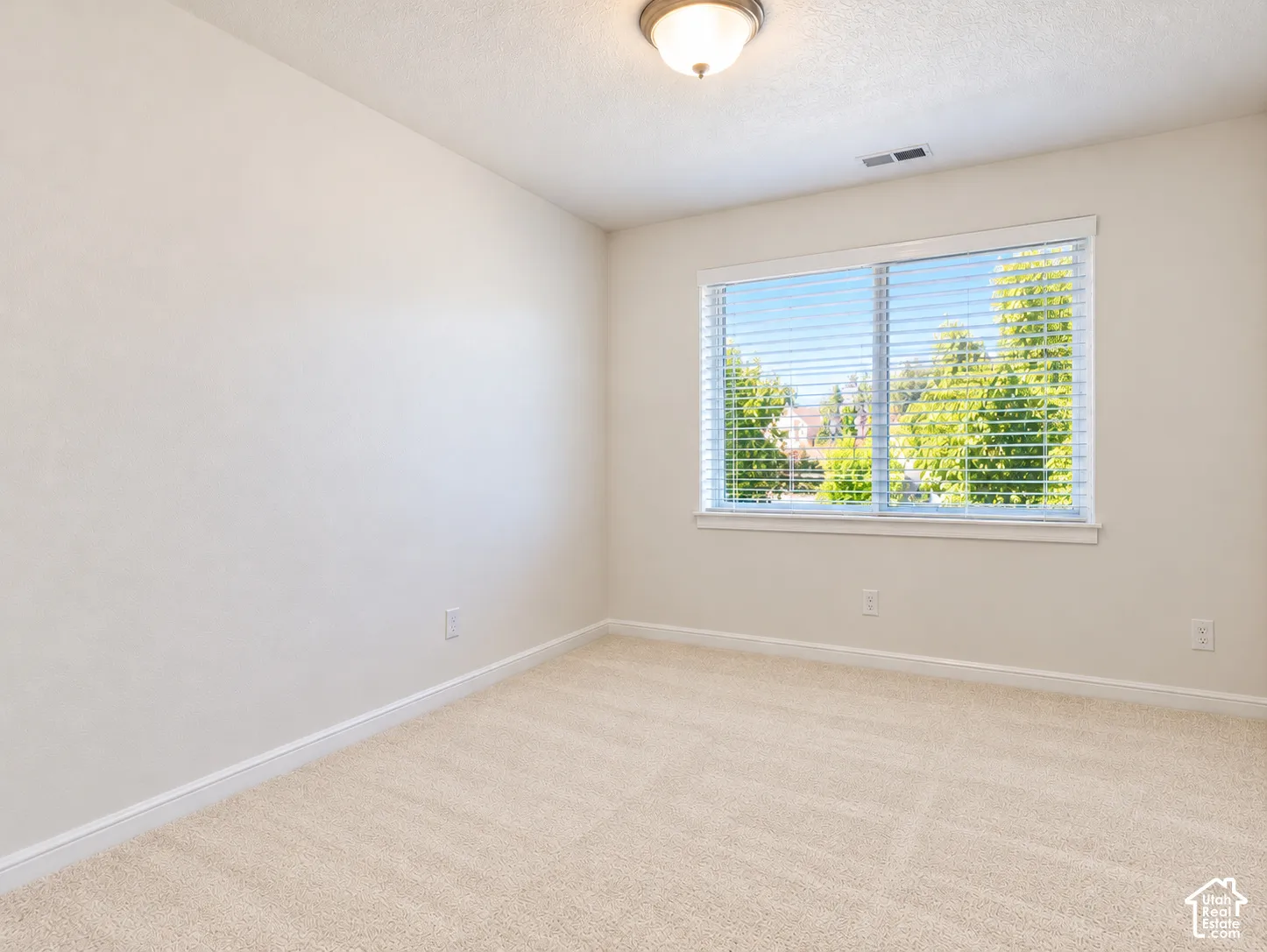 Neutral interior with wall-to-wall carpeting, window with blinds, and ceiling-mounted light fixture