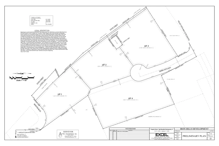Preliminary Plan. Detailing the property's layout, including lot divisions, road access, and legal description
