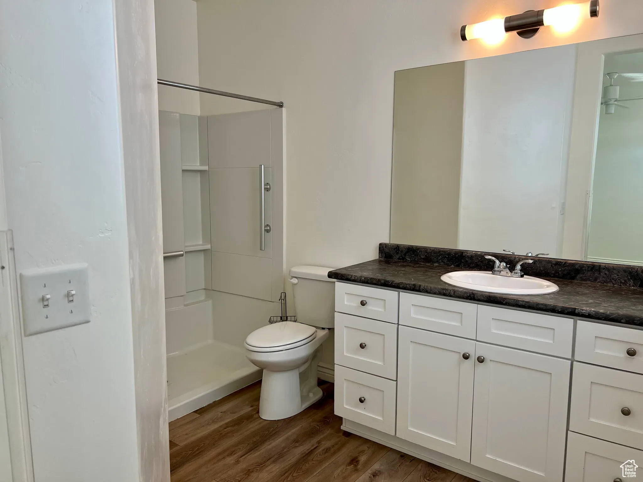 Main Floor Master 3/4 bathroom featuring vanity, dark wood-style floors, and a stall shower