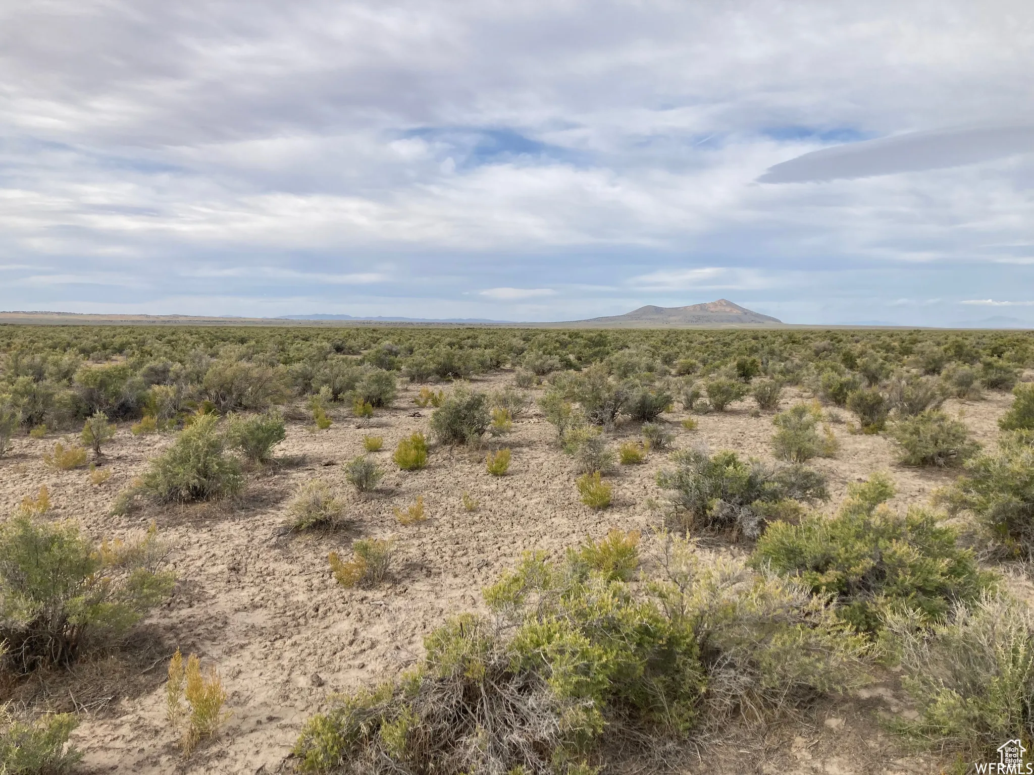 View of mountain background with a desert landscape and rural landscape
