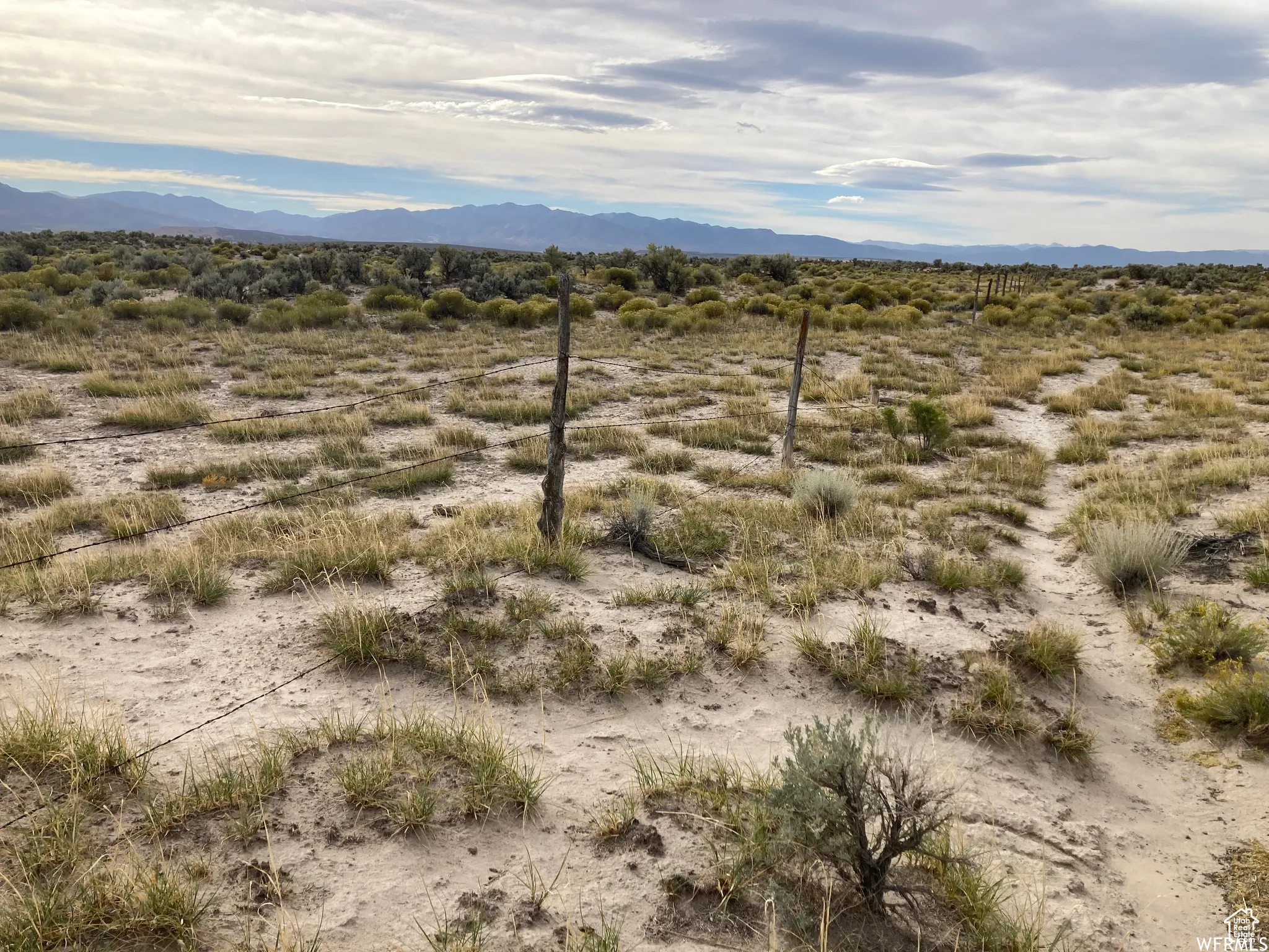 View of mountain background with a desert landscape