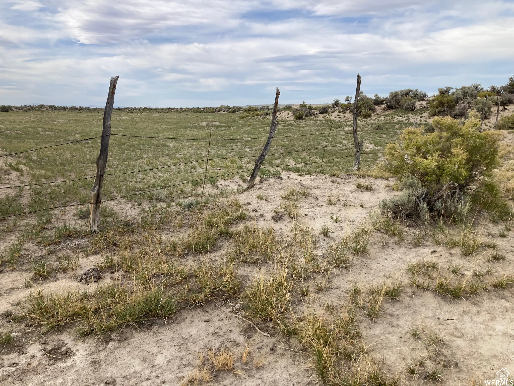 View of local wilderness featuring rural landscape