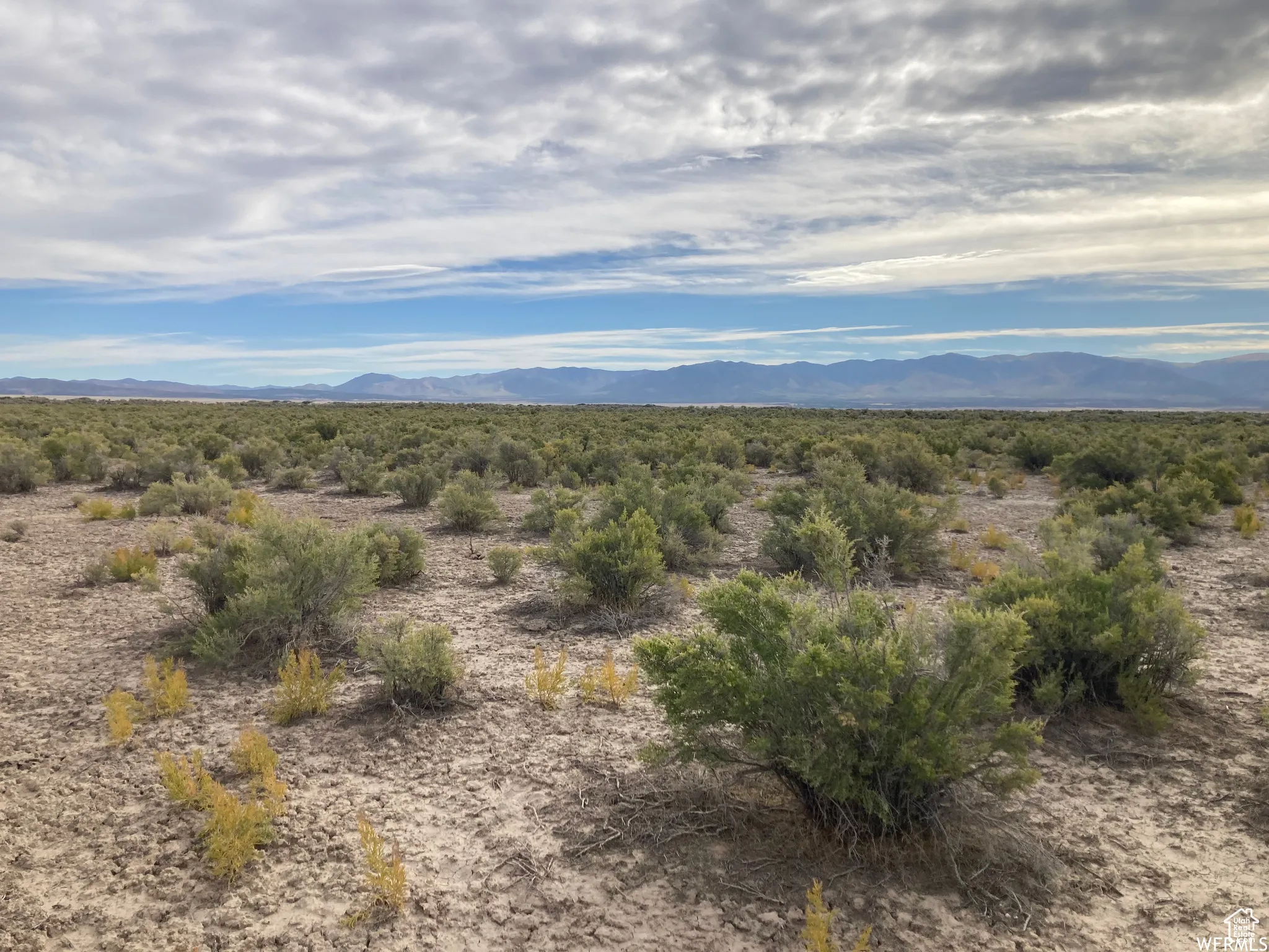 View of mountain backdrop with a desert landscape