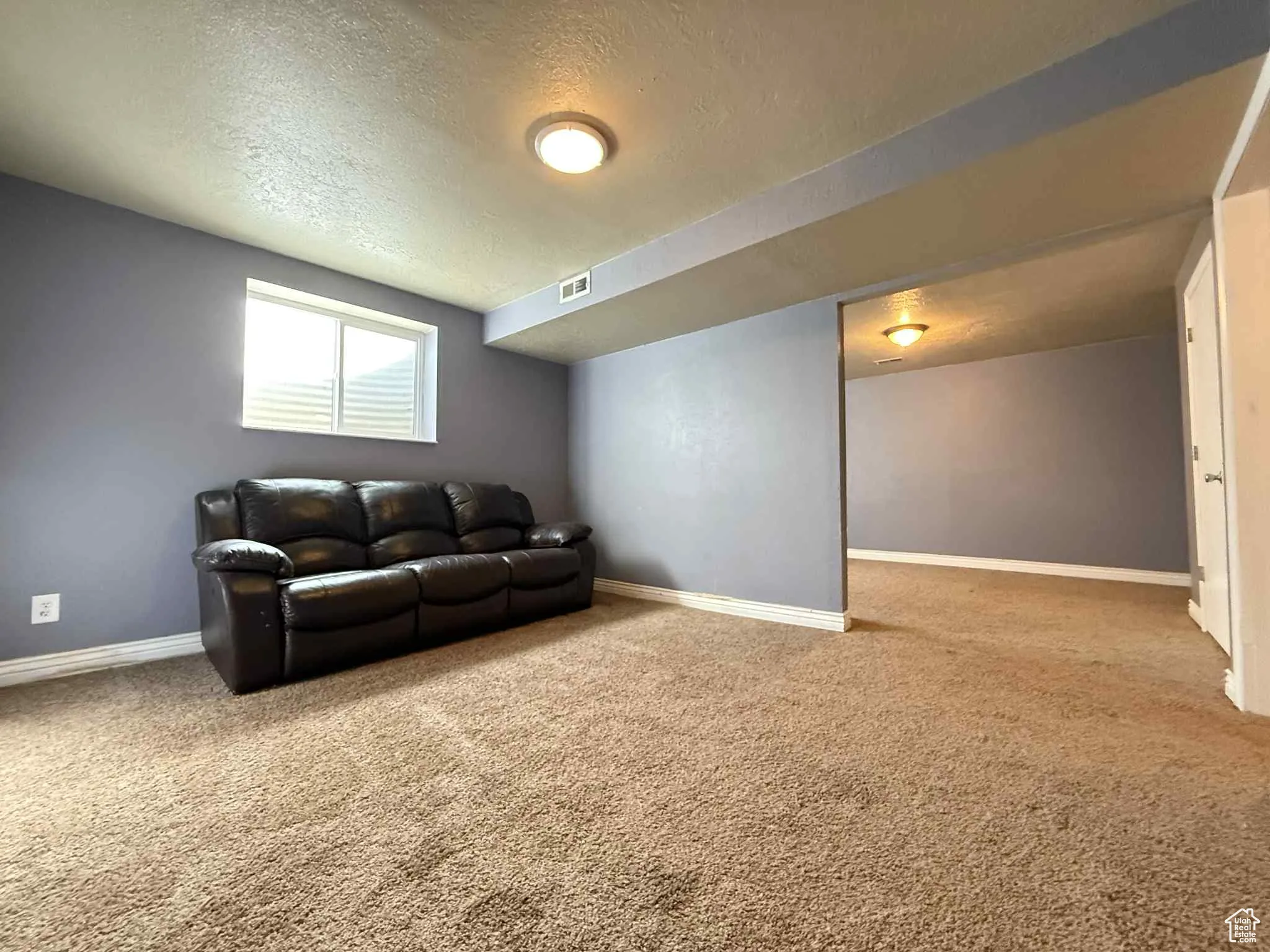 Basement view 2