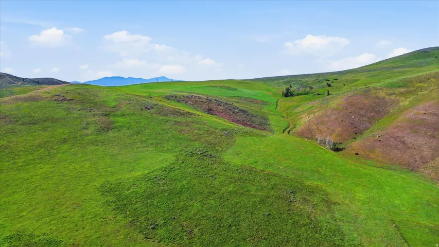Rolling green hills under a bright blue sky