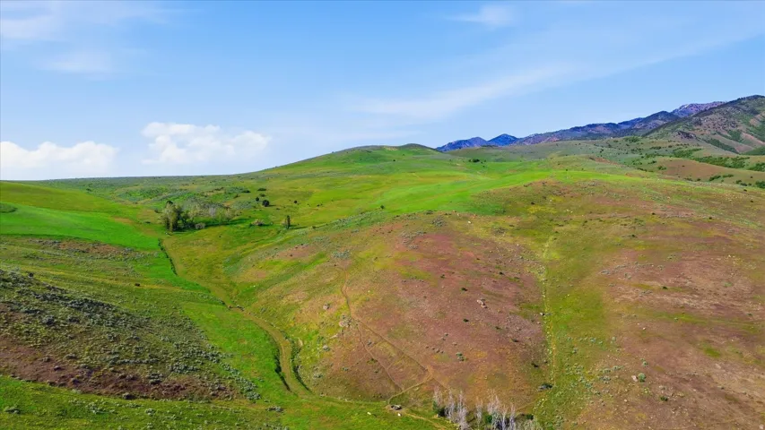 Expansive green rolling hills with varied topography