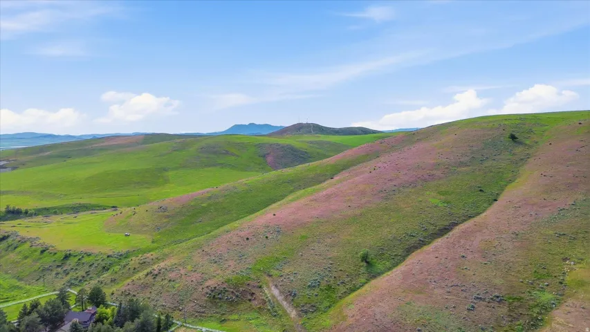 Expansive rolling hills with varied green and purple vegetation under a clear sky