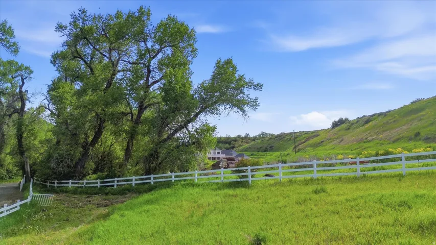 Expansive green landscape featuring a white fence, mature deciduous trees, and a sloping hillside