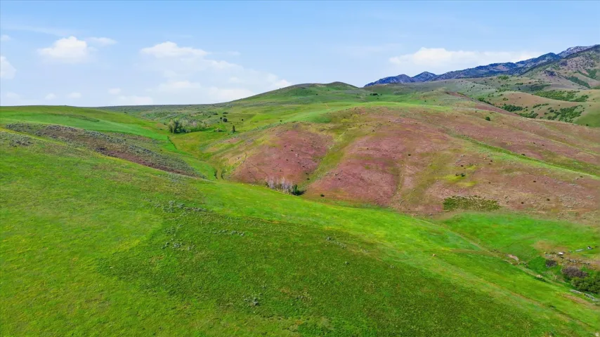 Expansive natural landscape featuring rolling green hills and distant mountains