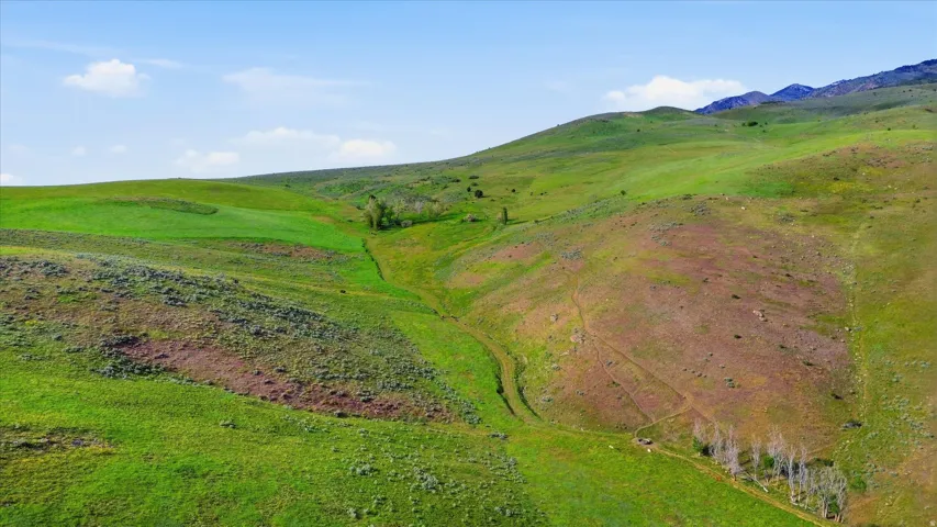 Expansive rolling hills with varied green and brown vegetation, featuring a natural ravine and distant mountains under a blue sky