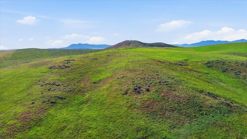 Expansive green rolling hills with scattered shrubs and distant mountains
