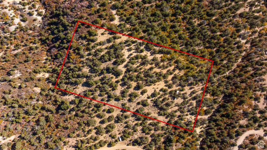 Aerial view of sparsely populated area featuring property boundaries highlighted