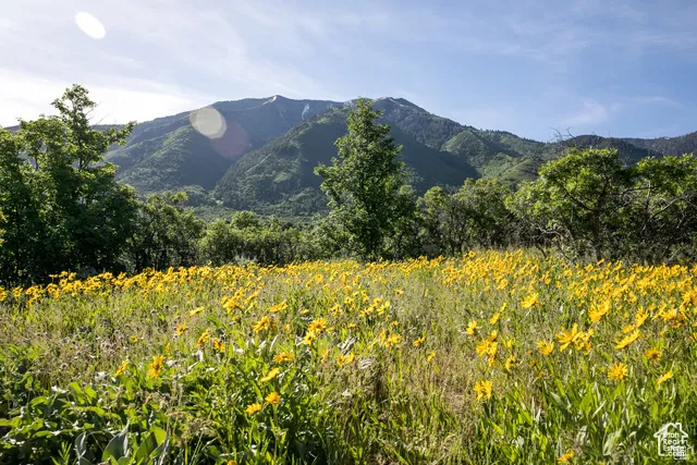 View of mountain backdrop