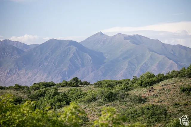 View of mountain backdrop