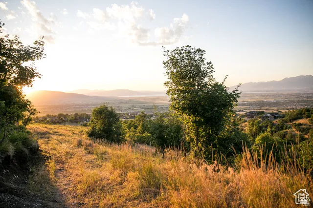 View of mountain background