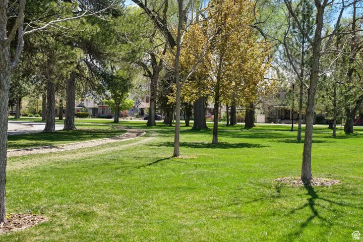 View of property's community with a lawn and a residential view