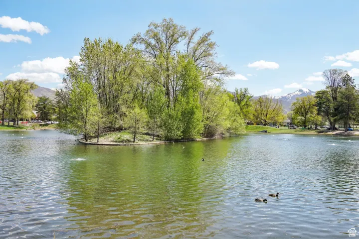 Water view with a mountainous background