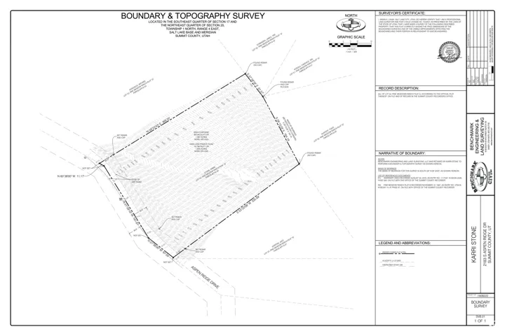 Survey map / technical document