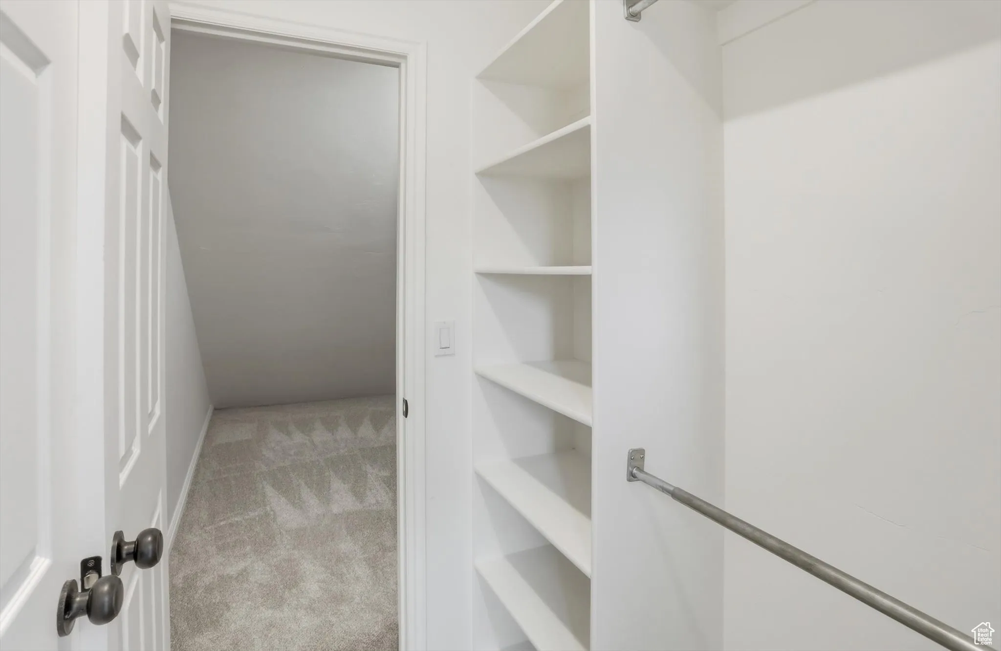 Spacious closet featuring light carpet