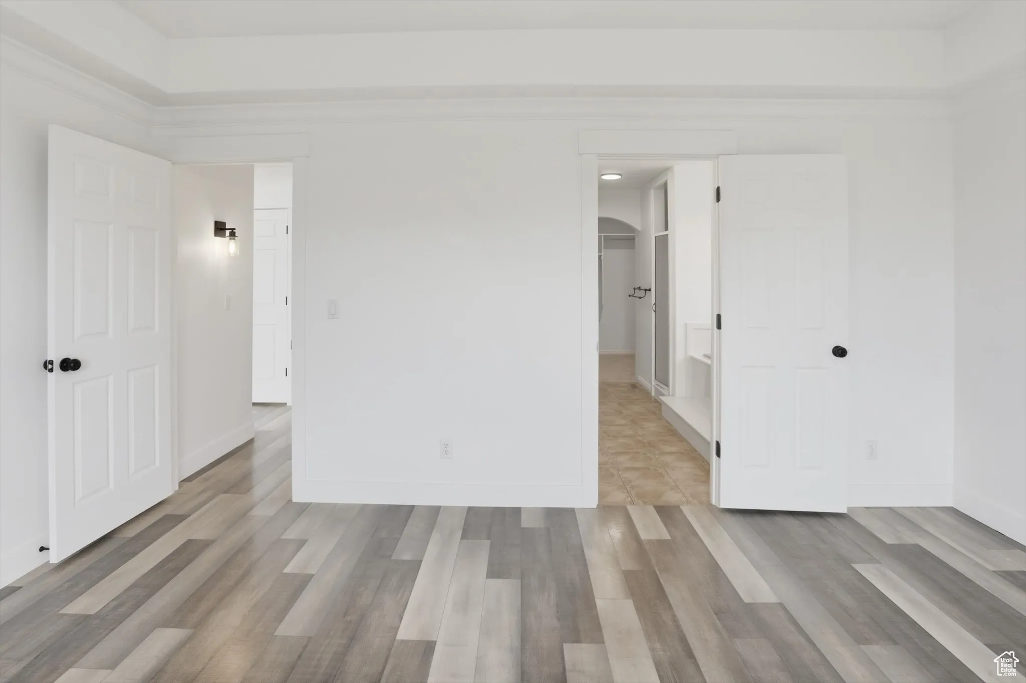 Unfurnished bedroom featuring a walk in closet and light wood-type flooring