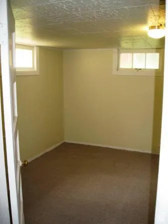 Below grade area with plenty of natural light and dark colored carpet