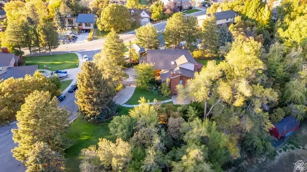 Bird's eye view of a tree filled landscape