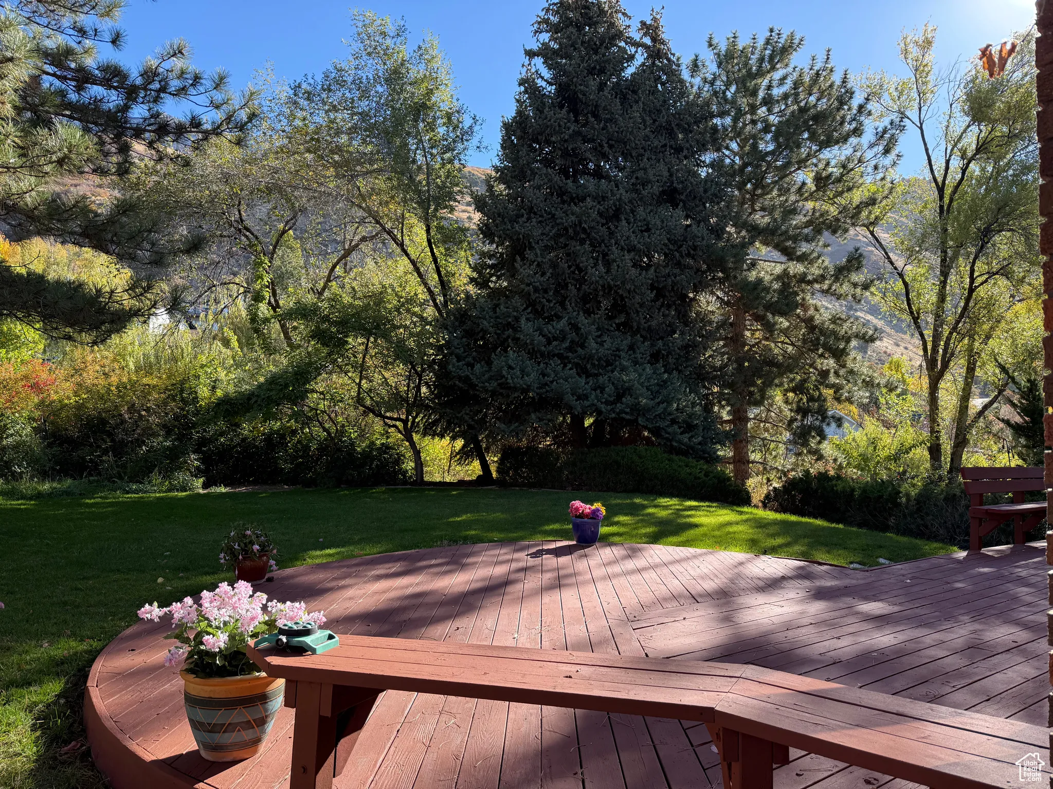 Beautiful secluded upper back yard, with spacious deck, built-in seating and tons of room to entertain!