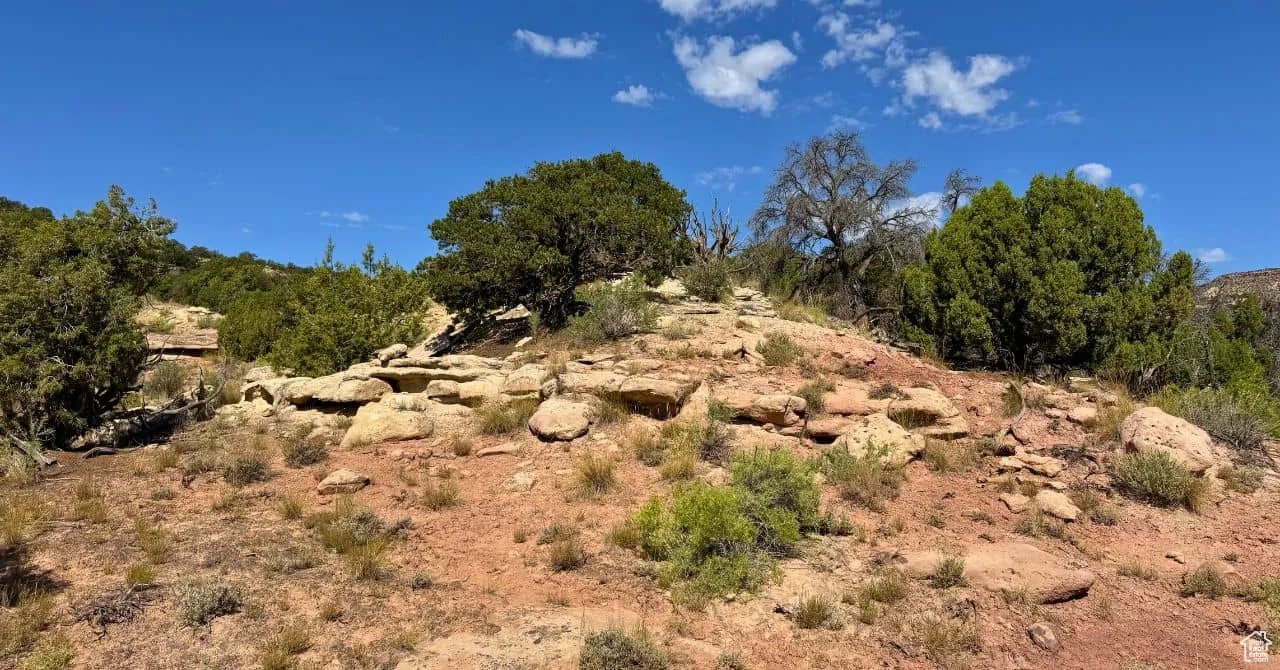 View of nature