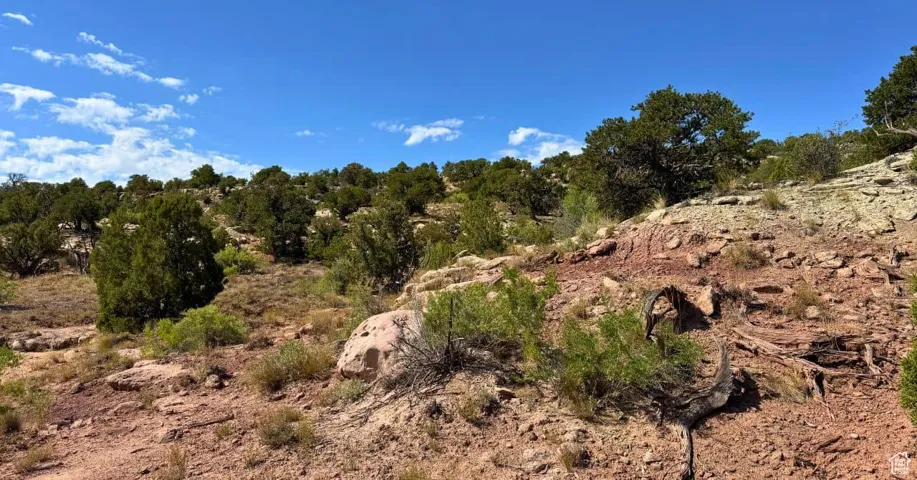 View of nature