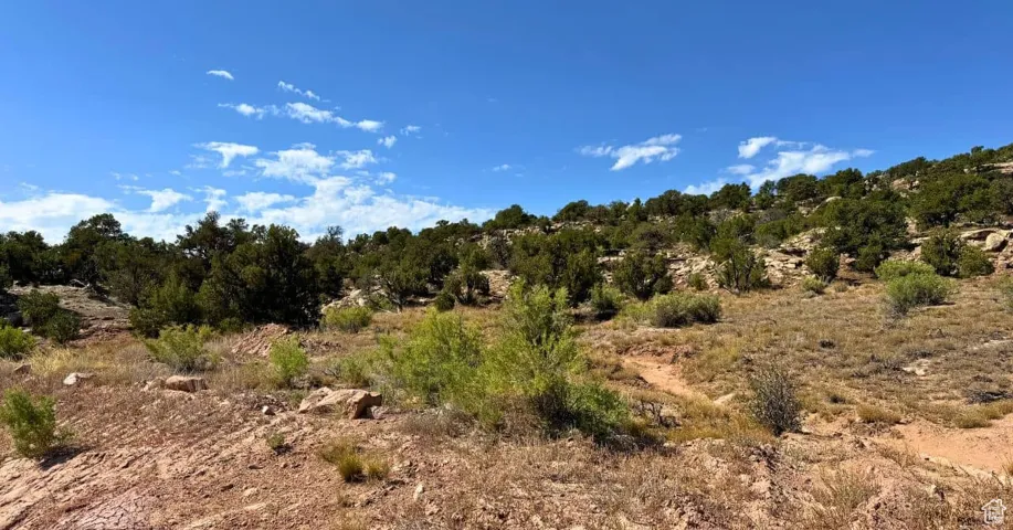 View of undeveloped land