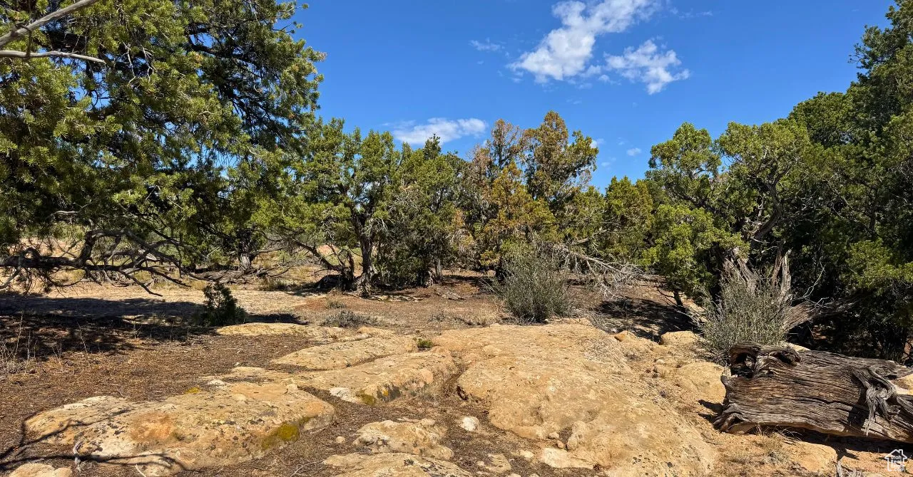 View of nature
