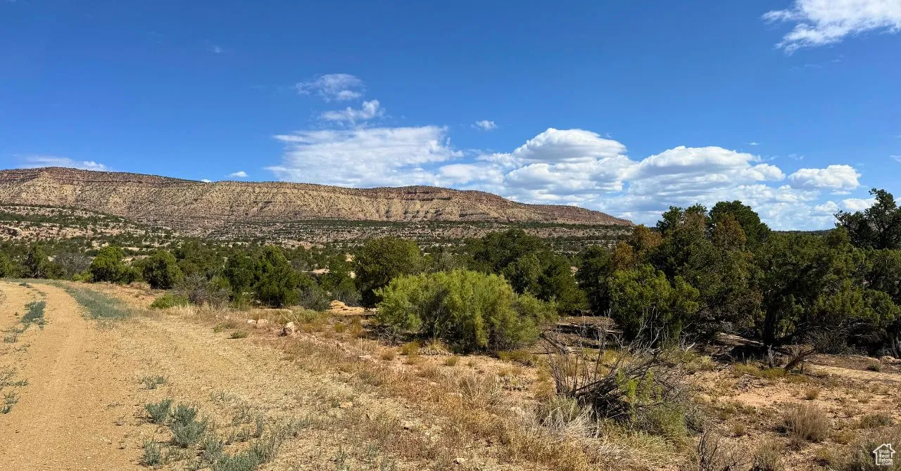 View of mountain background
