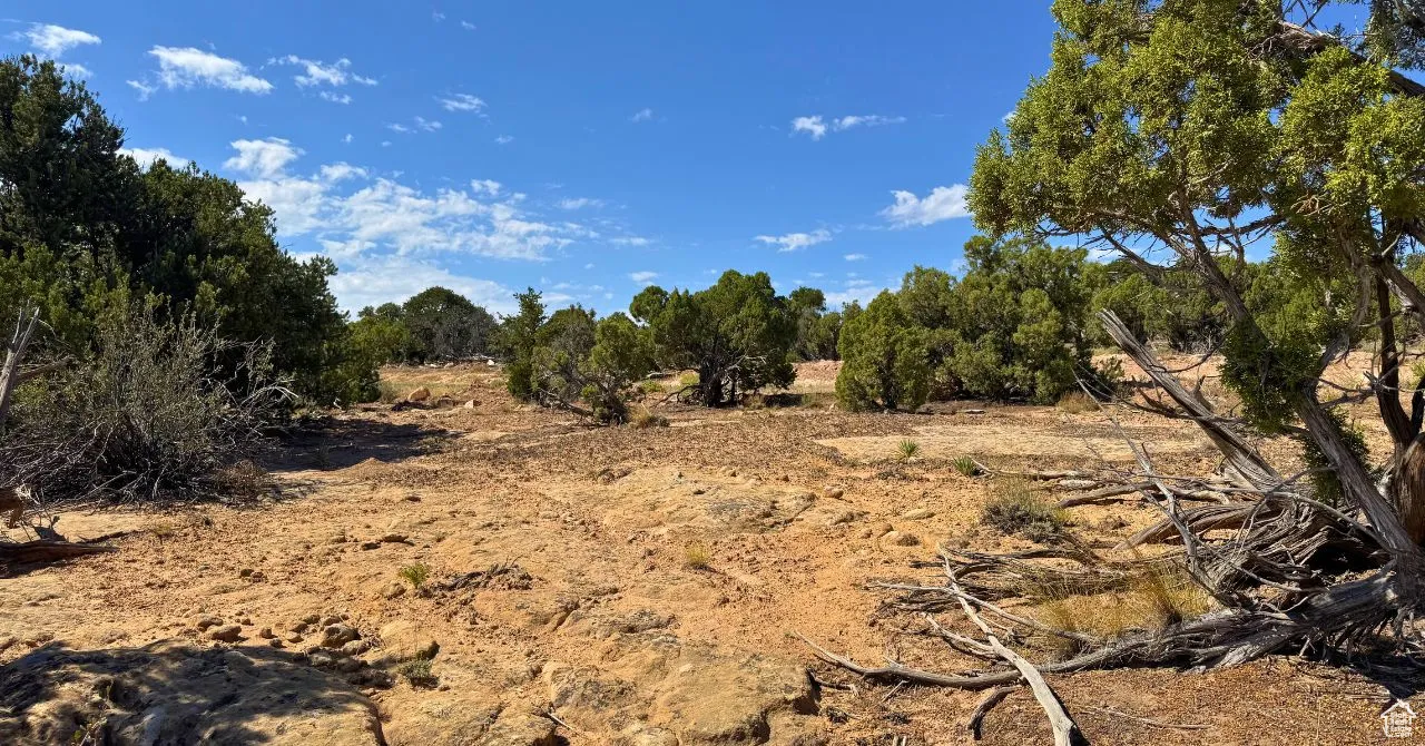 View of undeveloped land featuring rural landscape