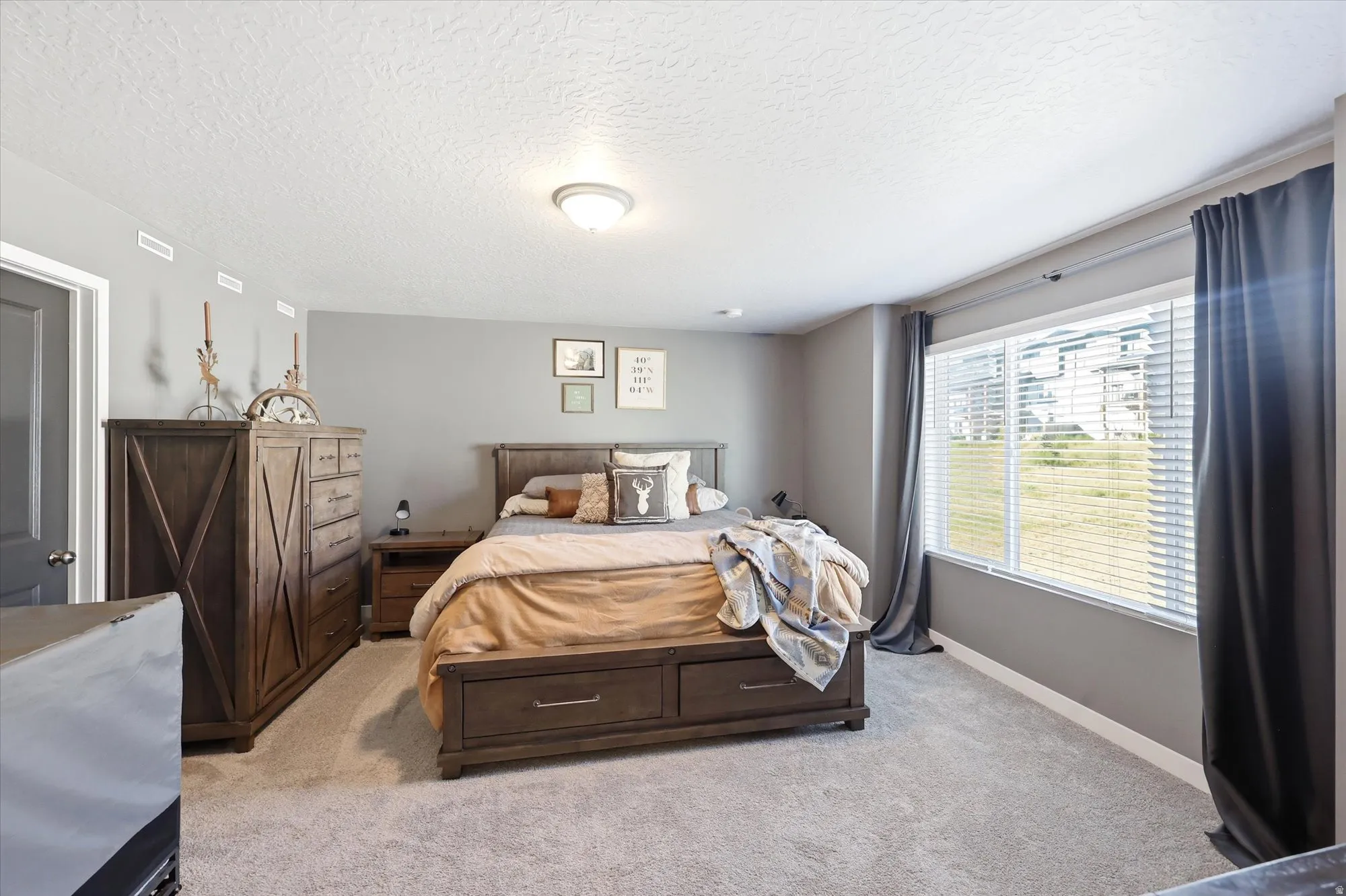Carpeted bedroom featuring a large window with blinds, ceiling-mounted light fixture, and light gray wall paint