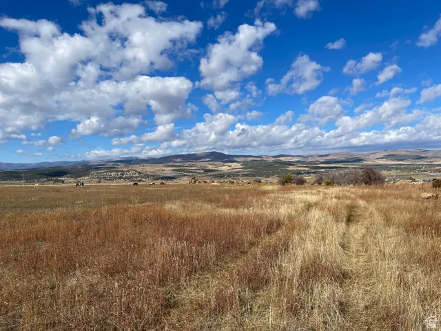 View of mountain background with rural landscape