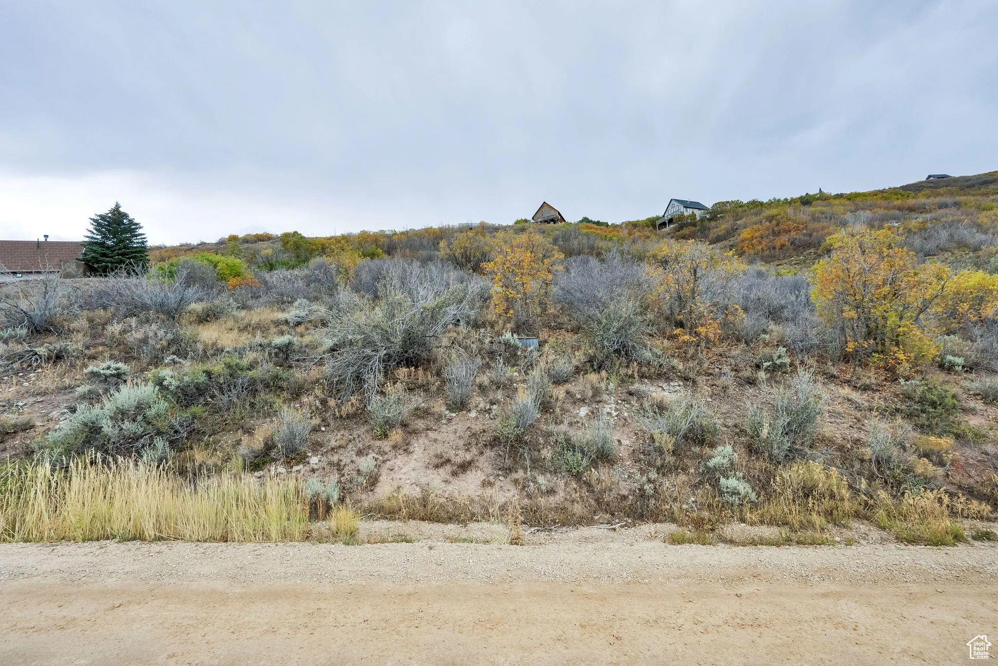 View of undeveloped land