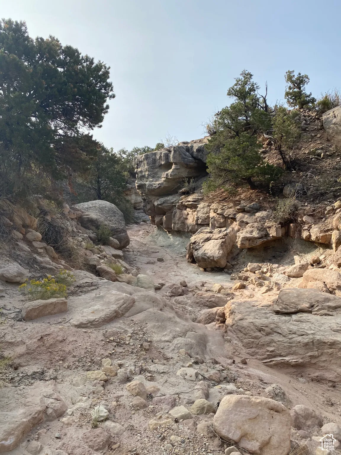 View of undeveloped land