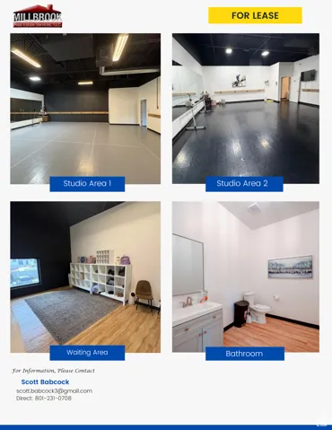 Brochure Flyer Page 2