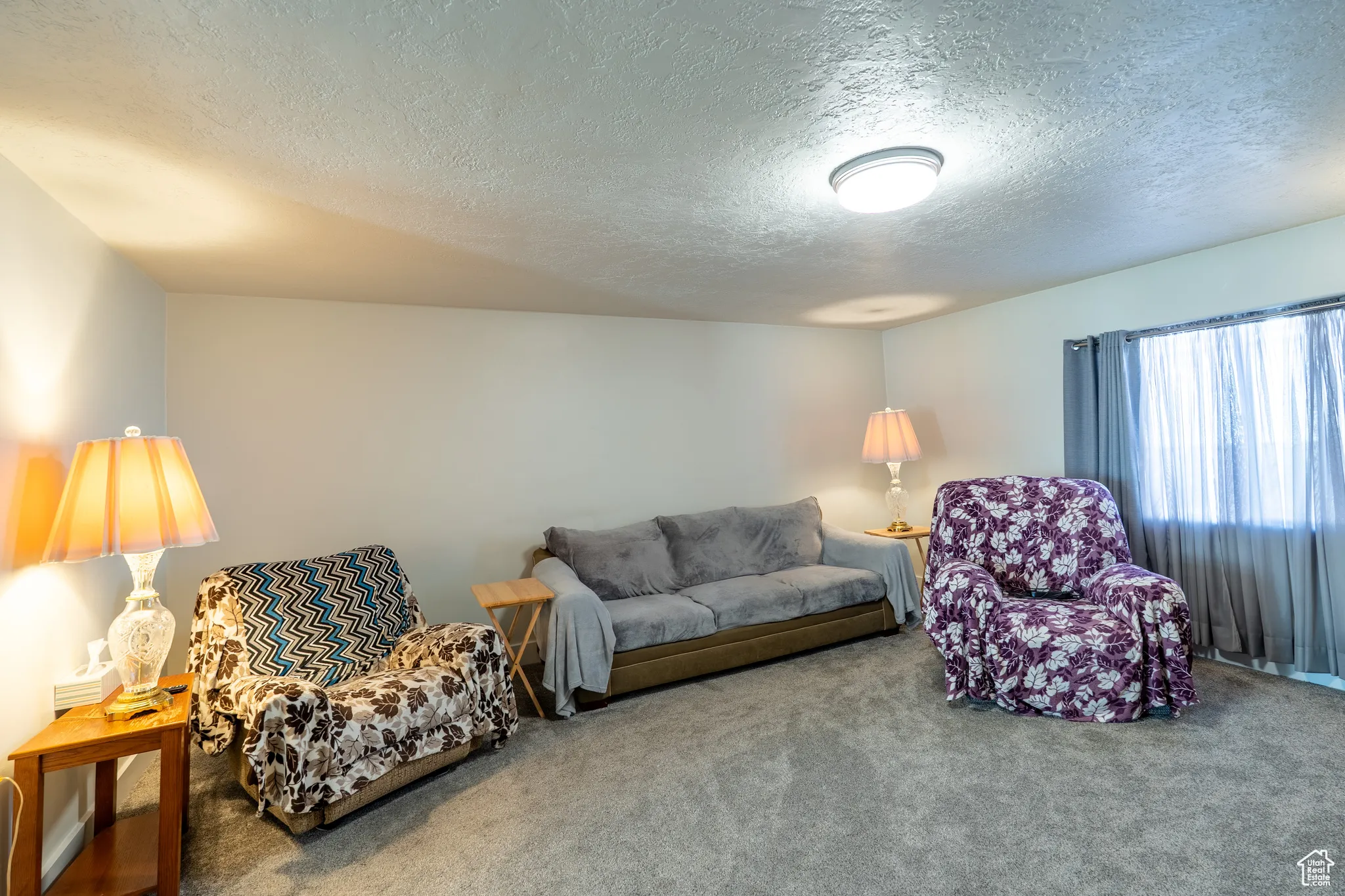Living room featuring carpet and a textured ceiling