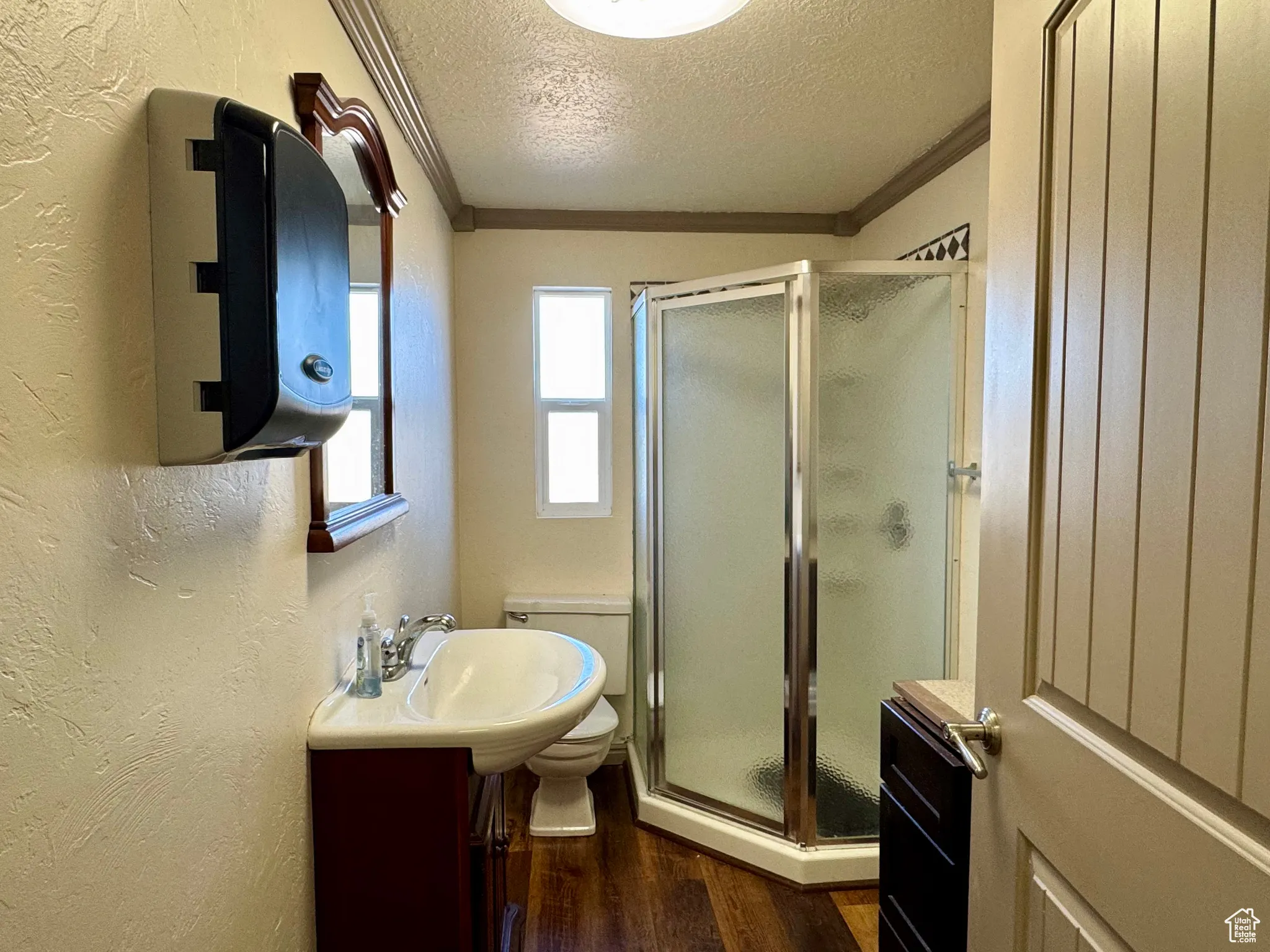 Bathroom with ornamental molding, a textured ceiling, a textured wall, dark wood-style flooring, and vanity