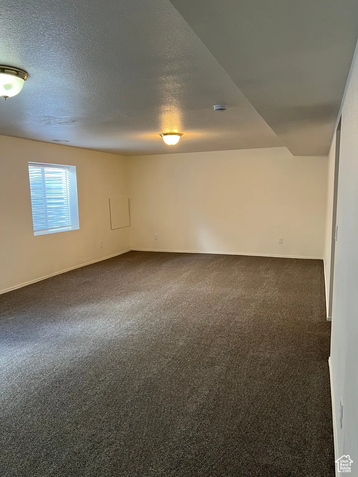Large family room from a different angle with dark carpet and a textured ceiling