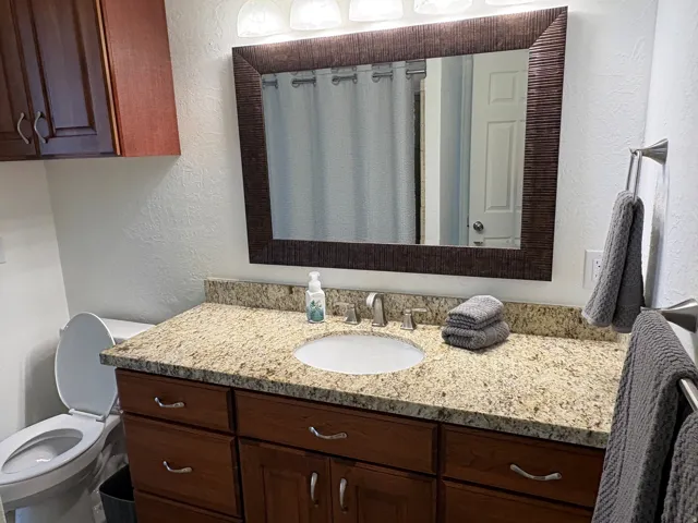 Bathroom vanity featuring a granite countertop with an integrated sink, wood-finish cabinetry, and a framed mirror