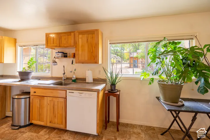 Kitchen with dishwasher and light countertops